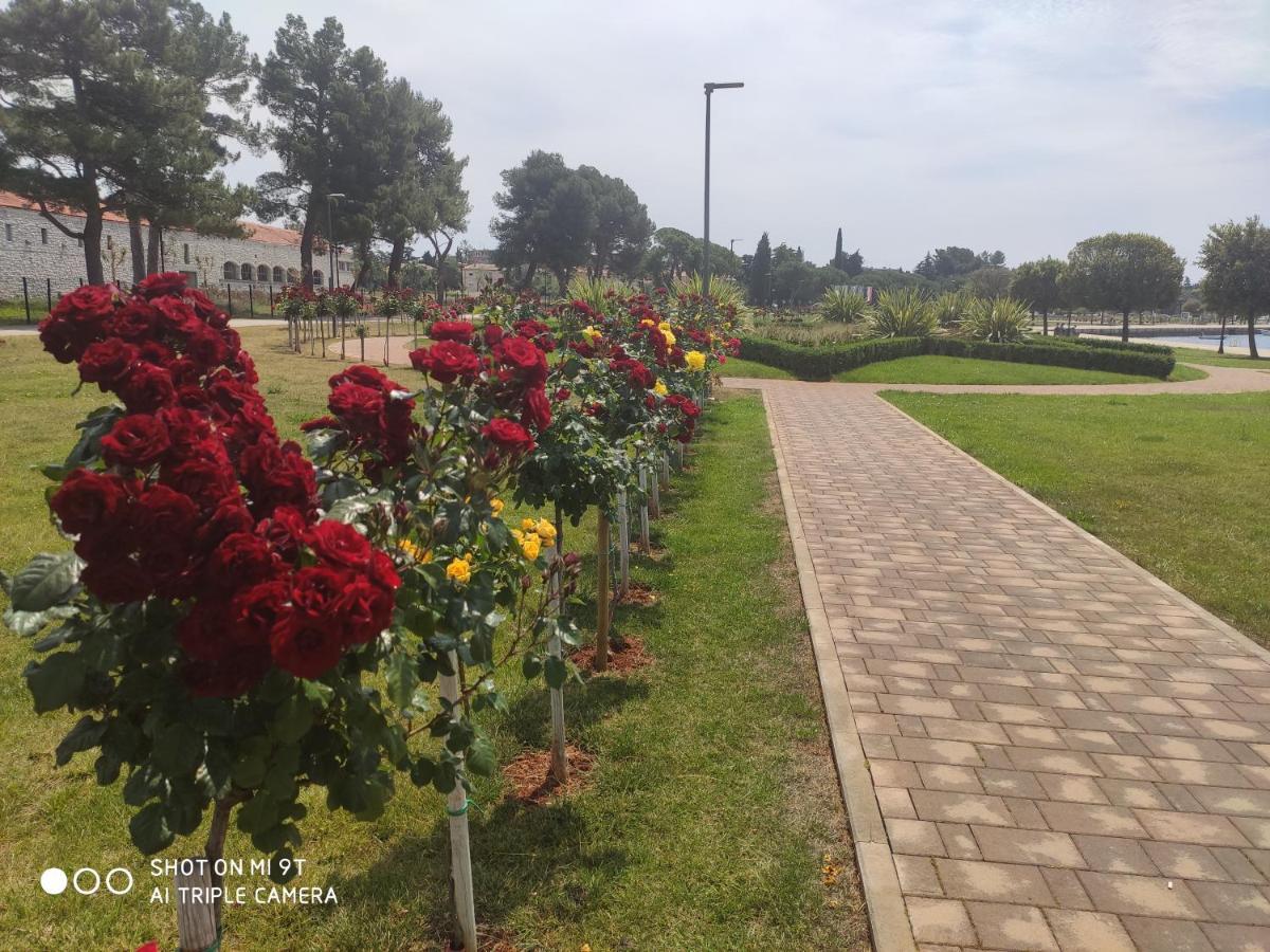 Bluemarine Apartment Umag Bagian luar foto